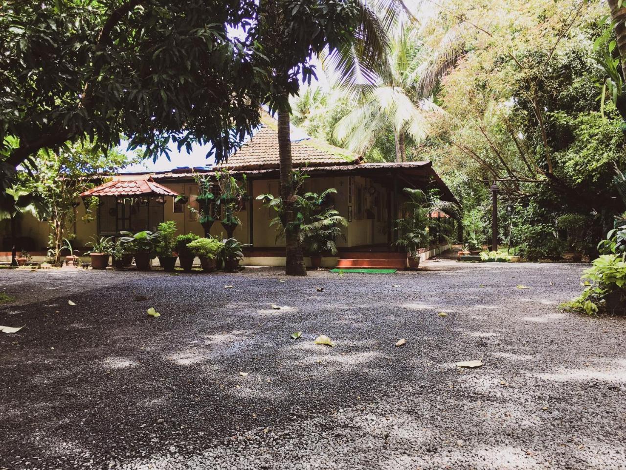 Palm Grove Service Villa Kochi Exterior foto
