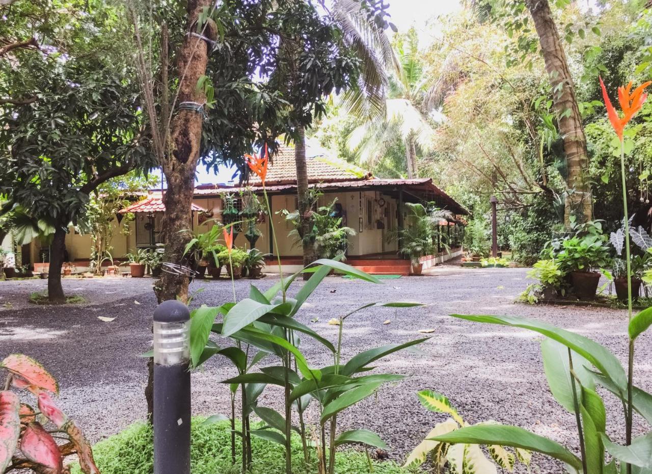 Palm Grove Service Villa Kochi Exterior foto